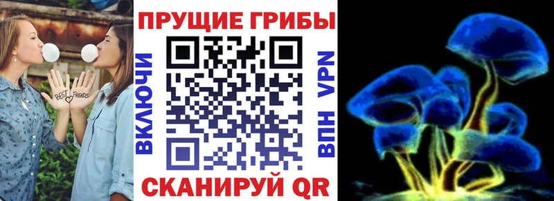 Галлюциногенные грибы GOLDEN TEACHER  Купить где  Новомичуринск 