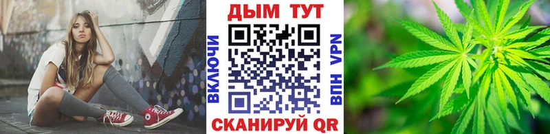 Купить закладки  Новомичуринск  Конопля тримм 